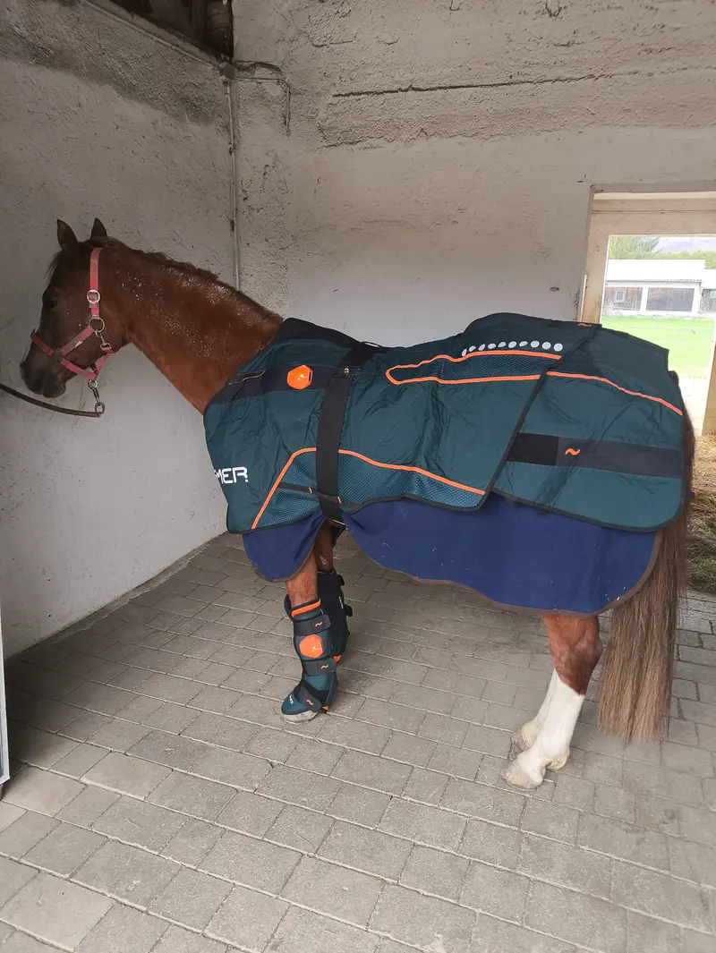 Vermietung unserer BEMER-Decke