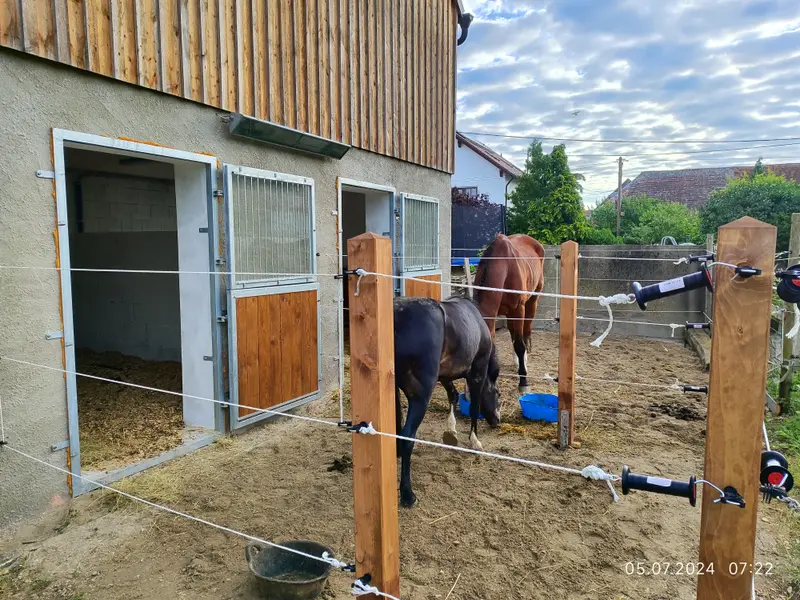 Vermietung von Paddockboxen