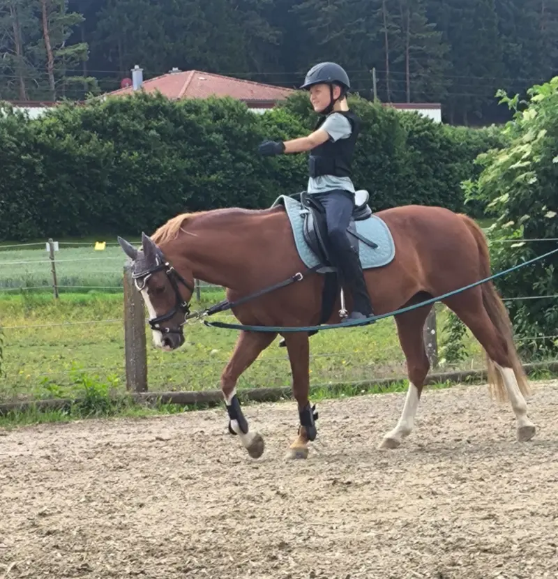 Sitzschulung an der Longe