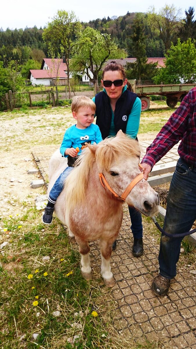 Reitunterricht am HauserHof