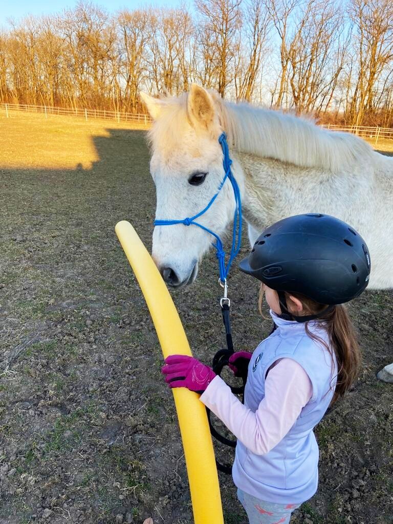 Reitunterricht Bodenarbeit